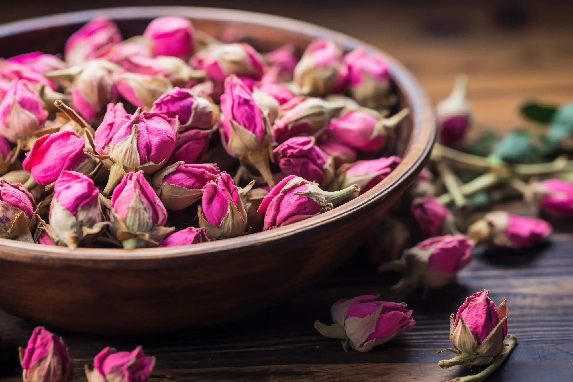 wholesale medicinal plants