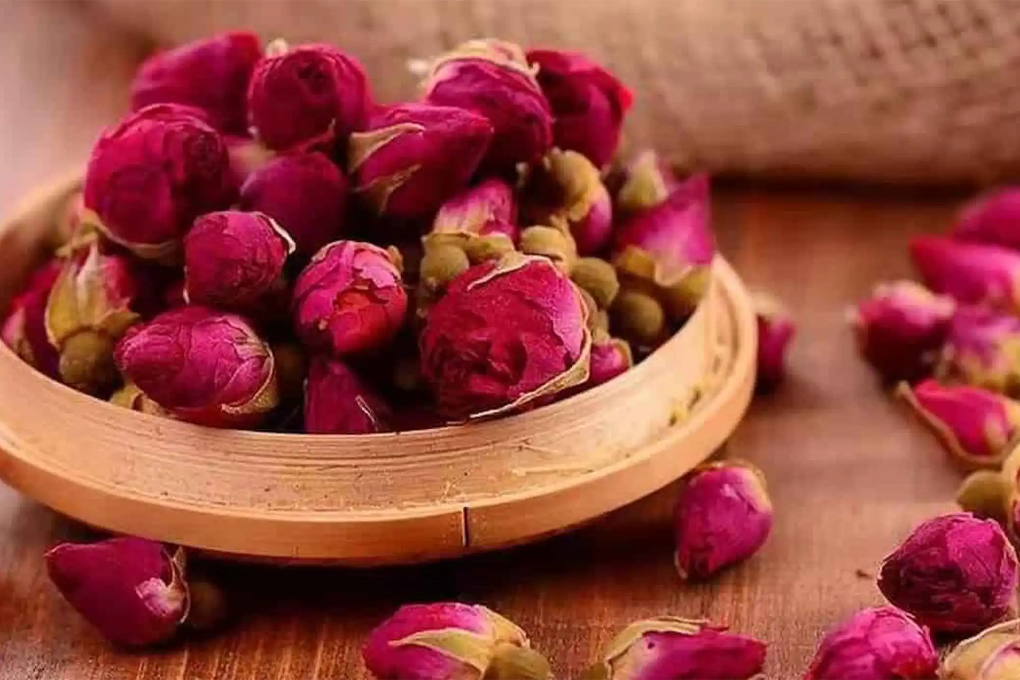 wholesale medicinal plants